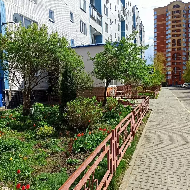 1-к кв. Московская область, Одинцовский городской округ, пос. Горки-10 ... - Фото 2