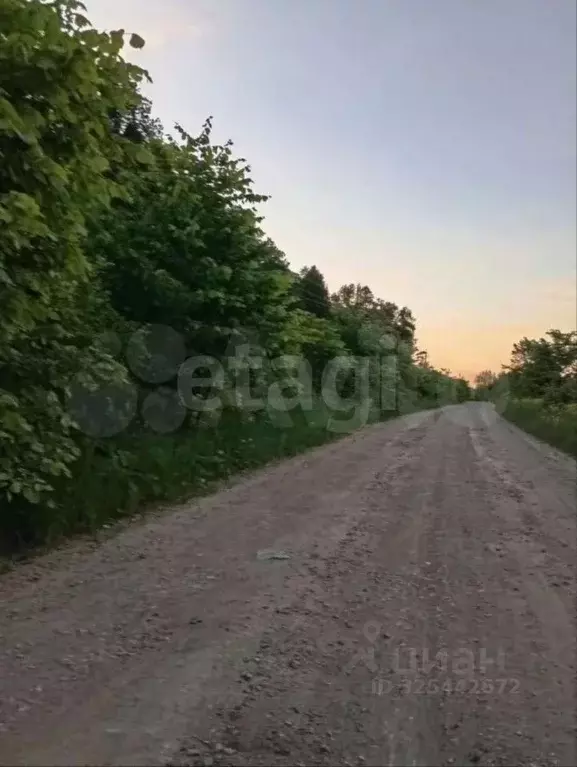 Участок в Башкортостан, Иглинский район, Чуваш-Кубовский сельсовет, ... - Фото 2