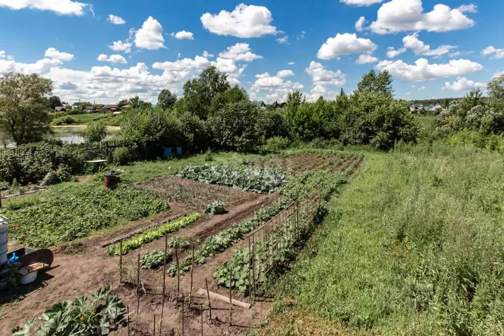 Участок в Алтайский край, Барнаул городской округ, с. Лебяжье  (10.0 ... - Фото 1