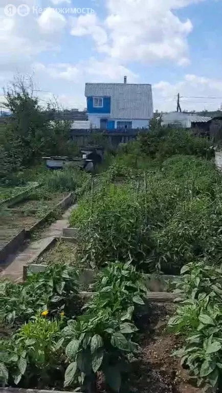 Участок в Заиграевский район, сельское поселение Дабатуйское, СНТ ... - Фото 1