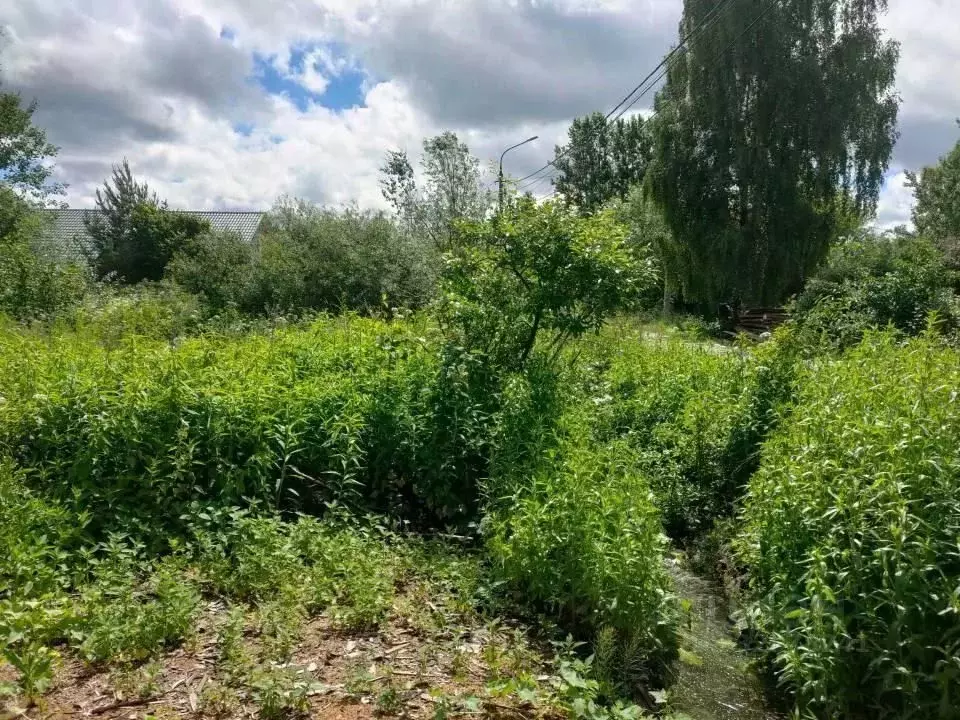 Участок в Московская область, Клин городской округ, Решетниково пгт ... - Фото 2