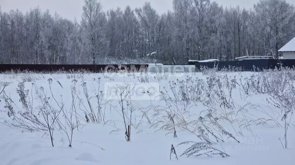 Участок в Московская область, Дмитровский муниципальный округ, д. ... - Фото 1
