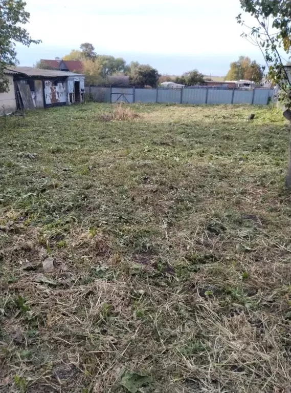 Участок в Тульская область, Новомосковск городской округ, пос. ... - Фото 2