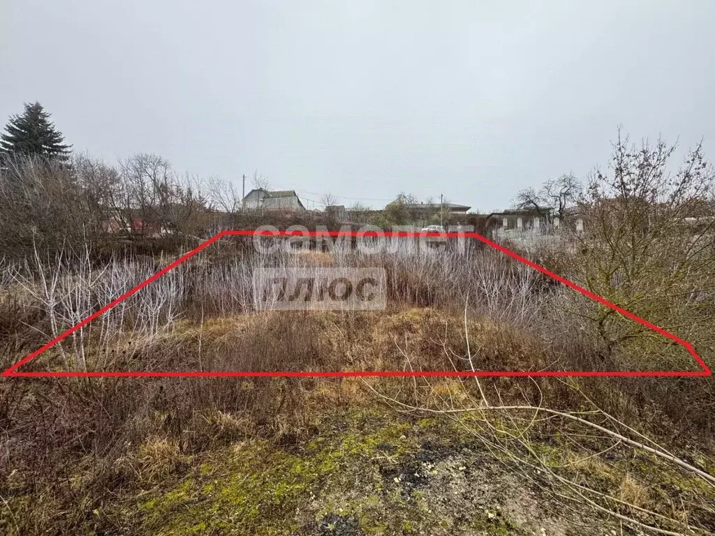 Участок в Брянская область, Брянский район, Супоневское с/пос, с. ... - Фото 1