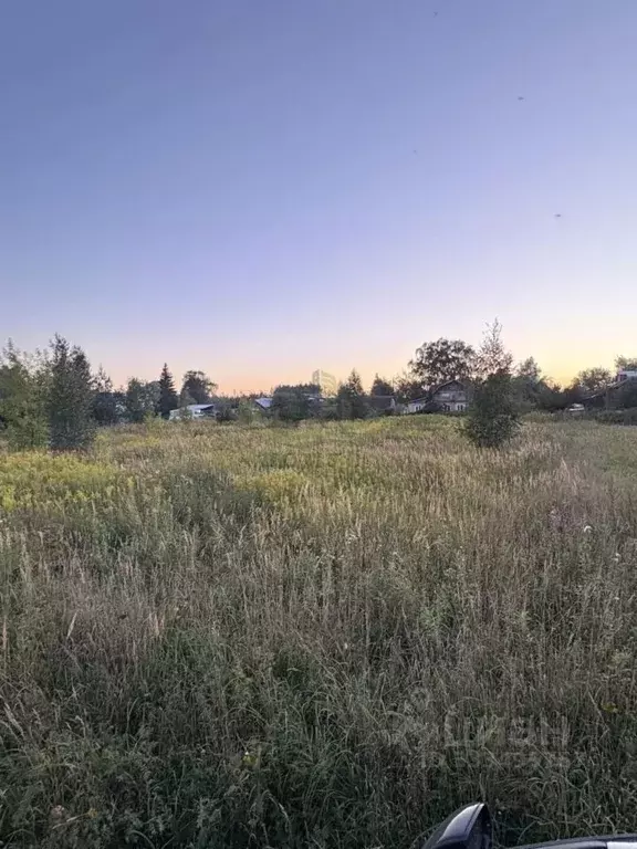 Участок в Московская область, Богородский городской округ, д. ... - Фото 1