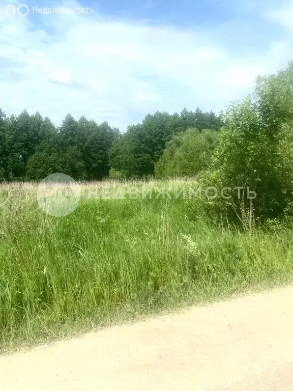Участок в Болоньское сельское поселение, деревня Шакино (19 м) - Фото 1