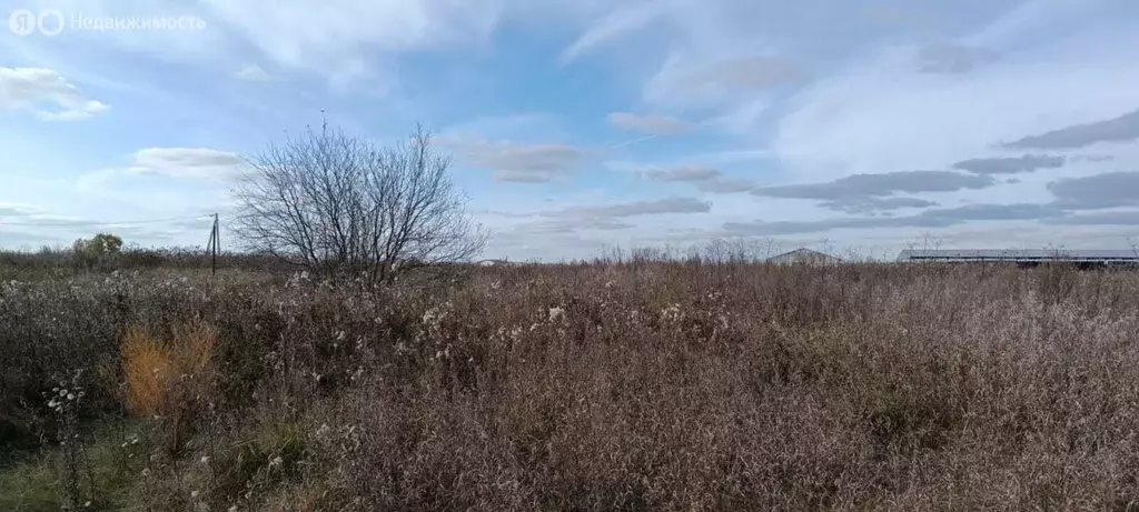 Участок в Свердловская область, Белоярский муниципальный округ, ... - Фото 2