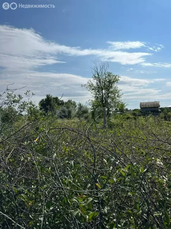 Участок в Самарская область, сельское поселение Красный Яр, СДТ ... - Фото 2