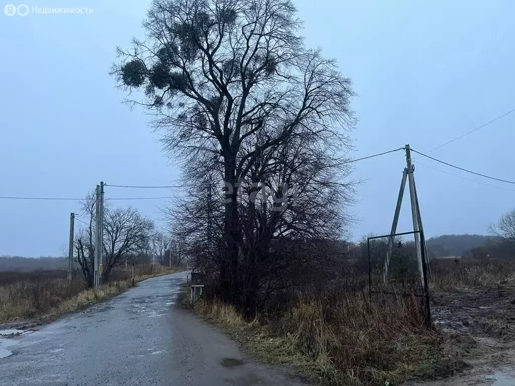 Участок в Калининградская область, Гурьевский муниципальный округ, ... - Фото 1