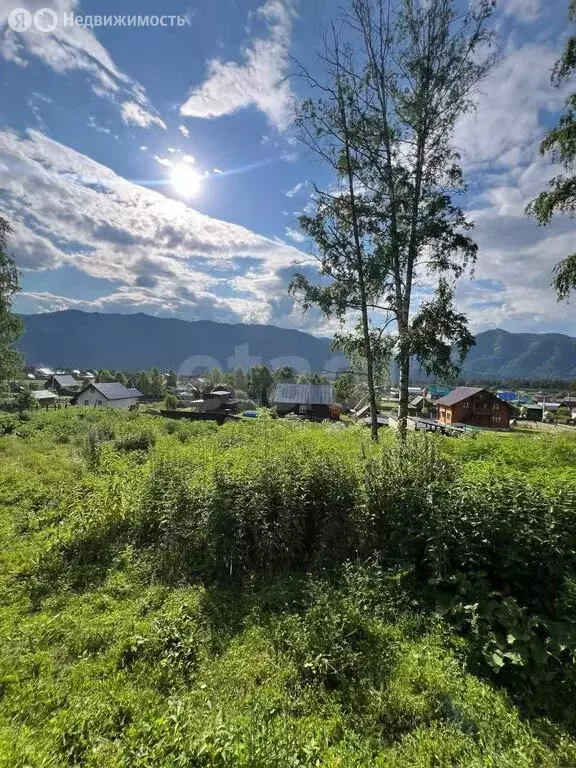 Участок в Чемальский район, посёлок Усть-Сема (7.5 м) - Фото 1