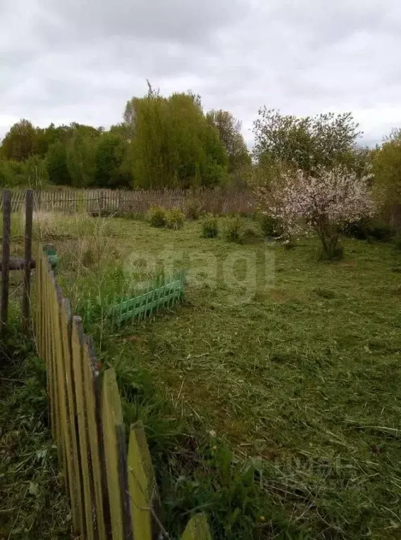 Участок в Калужская область, Село Бабынино с/пос, д. Волчье  (15.0 ... - Фото 1