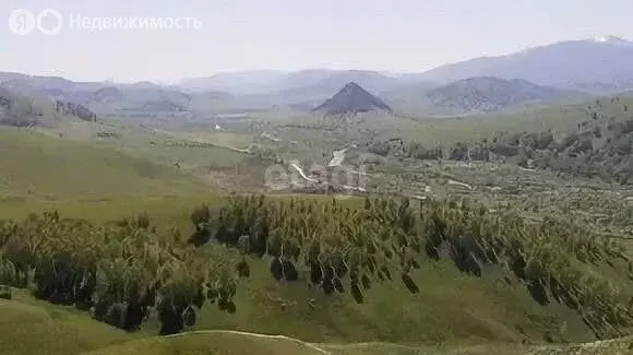 Участок в Солонешенский район, посёлок Тог-Алтай, Трактовая улица (15 ... - Фото 0