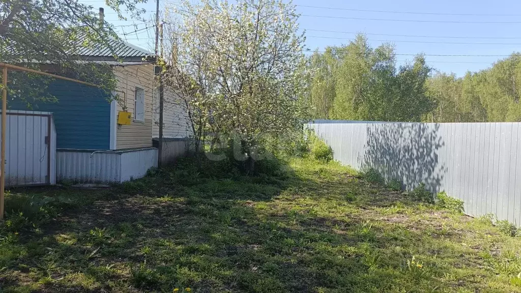 Дом в Челябинская область, Пласт Степной пер., 18 (36 м) - Фото 1