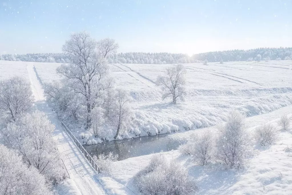 Участок в Московская область, Ступино городской округ, д. Лапино  (9.0 ... - Фото 1