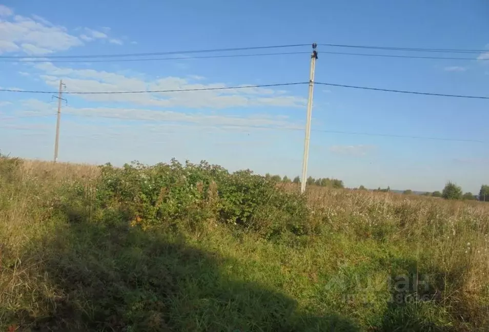 Участок в Московская область, Дмитровский муниципальный округ, д. ... - Фото 1