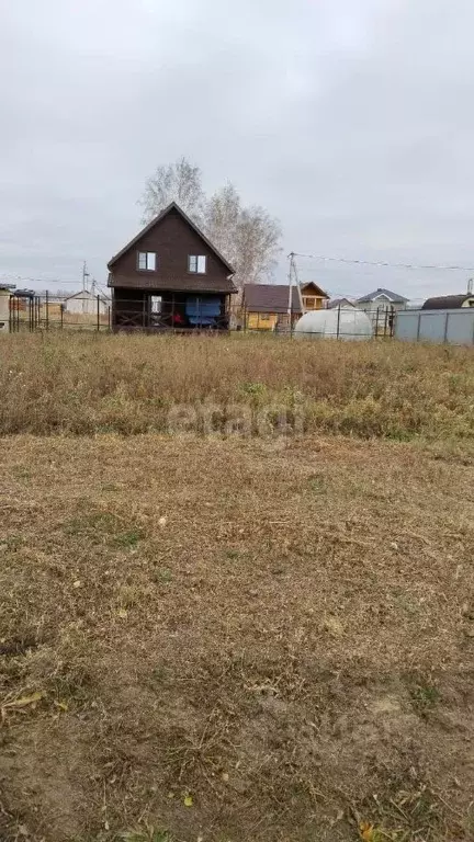 Участок в Новосибирская область, Новосибирский район, Сибирские ... - Фото 1