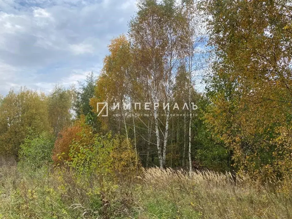 Участок в Калужская область, Жуковский муниципальный округ, Высокиничи ... - Фото 1