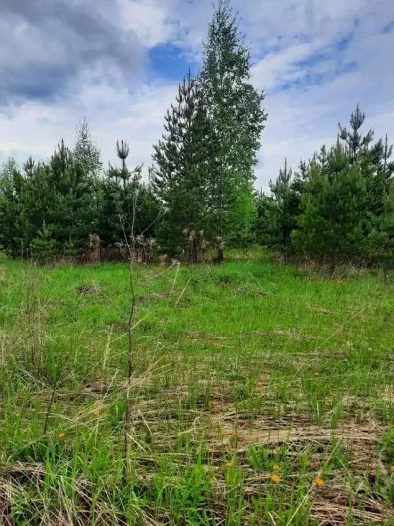 Участок в Удмуртия, Завьяловский район, д. Старые Кены ул. ... - Фото 1