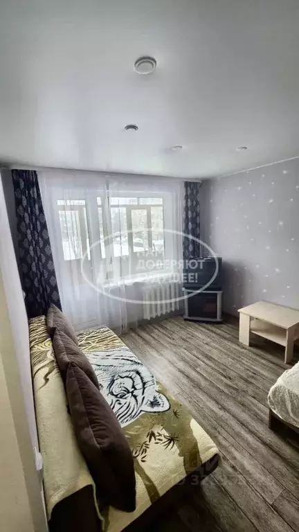 1-к кв. Пермский край, Лысьва ул. Оборина, 64А (25.3 м) - Фото 2