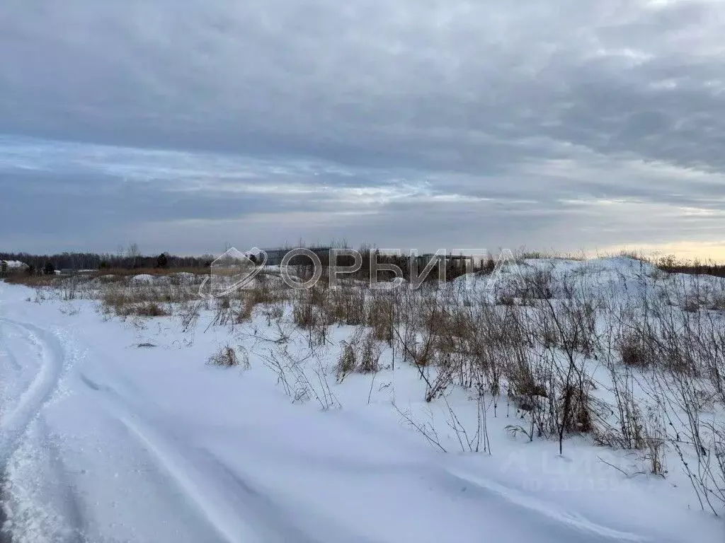 Участок в Тюменская область, Тюменский район, с. Горьковка Сибирская ... - Фото 0