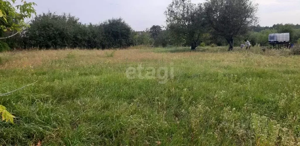 Участок в Воронежская область, Новоусманский район, с. Бабяково ... - Фото 0