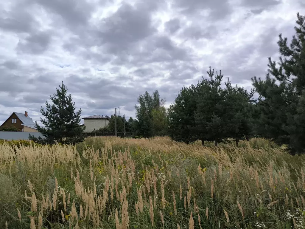 Участок в Московская область, Раменский муниципальный округ, с. Речицы ... - Фото 0