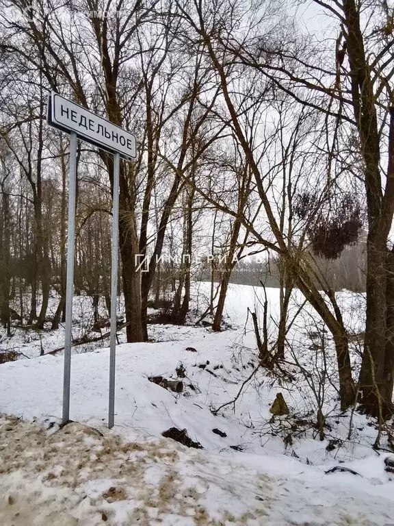 Участок в Недельное, село Недельное (65 м) - Фото 0
