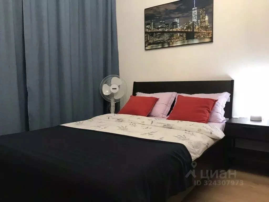 1-к кв. Санкт-Петербург пос. Песочный, Садовая ул. (19.0 м) - Фото 2