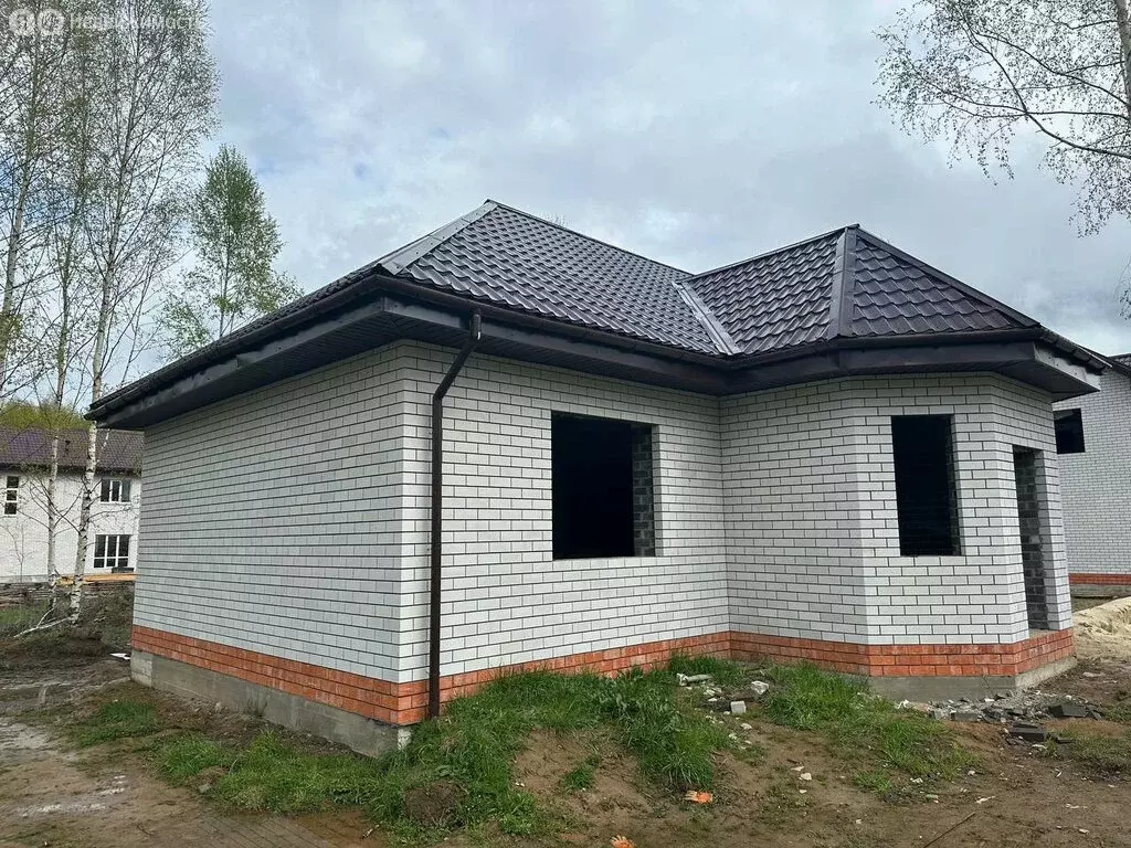 Дом в Нижегородская область, городской округ Бор, деревня Васильково, ... - Фото 1