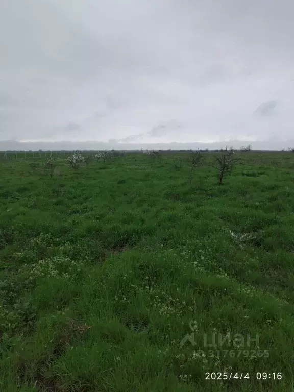 Участок в Крым, Ленинский район, Семисотское с/пос  (2.63 сот.) - Фото 0
