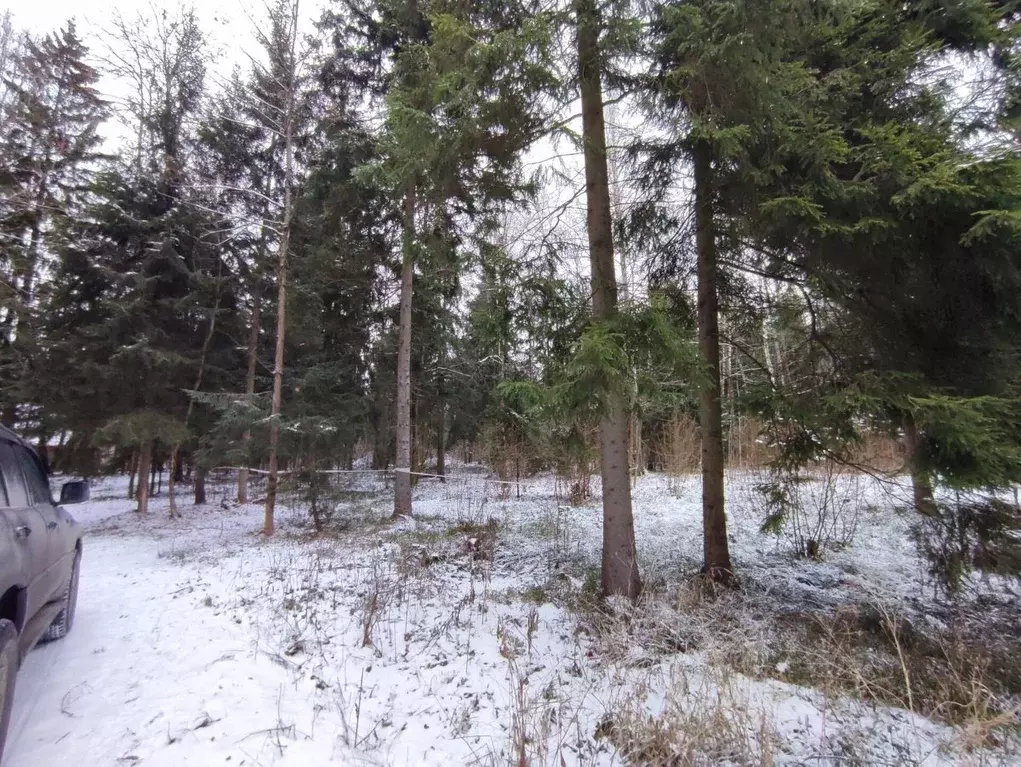 Участок в Московская область, Одинцовский городской округ, пос. НИИ ... - Фото 2