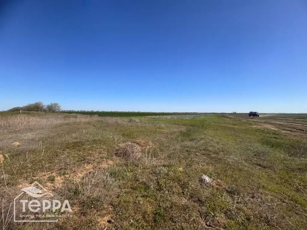 Участок в Крым, Раздольненский район, Чернышевское с/пос, с. Чернышево ... - Фото 1