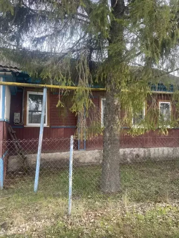 Дом в Рязанская область, Шацк ул. Тараскина, 84 (45 м) - Фото 1
