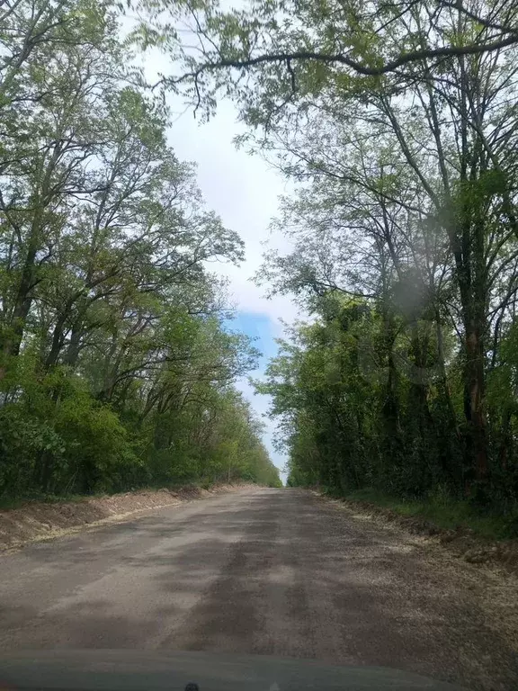 Участок 5 сот. (СНТ, ДНП) - Фото 0