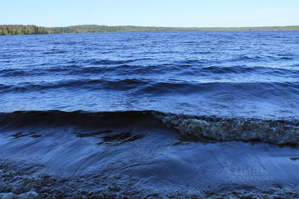 Дом в Ленинградская область, Выборгский район, Первомайское с/пос, ... - Фото 1