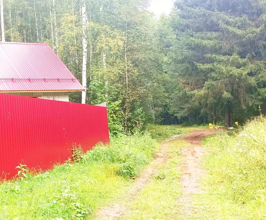 Участок в Пермский край, Пермь Бузулукская ул., 24Д (12.0 сот.) - Фото 2