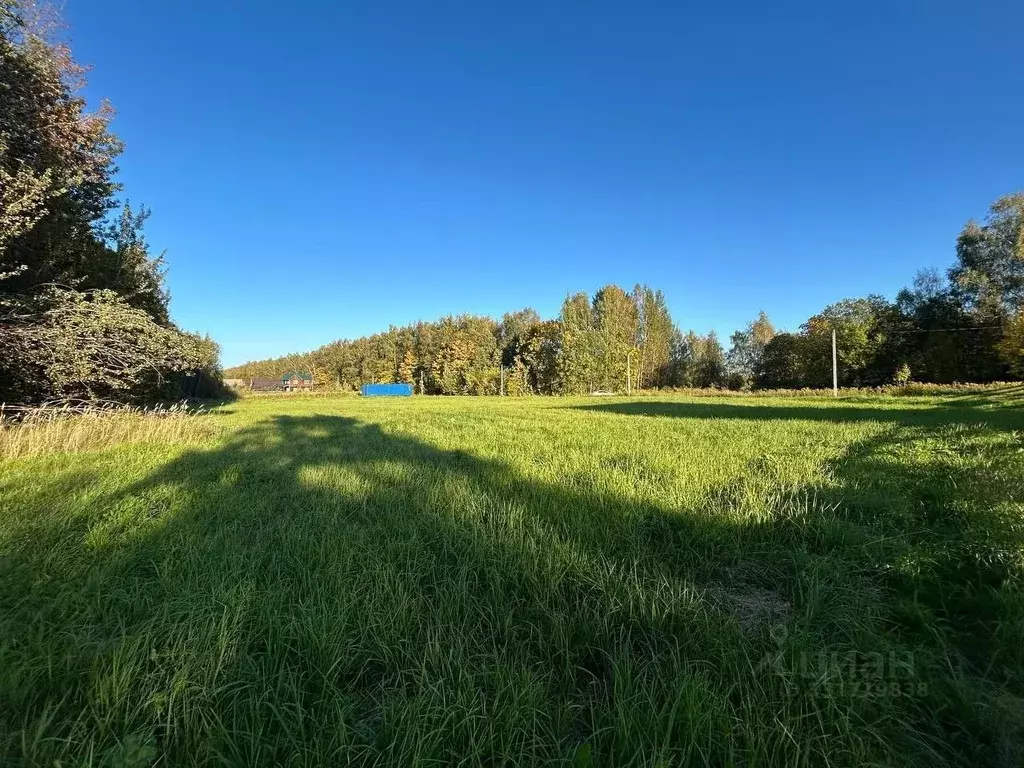 Участок в Тульская область, Тула городской округ, с. Зайцево ул. ... - Фото 2