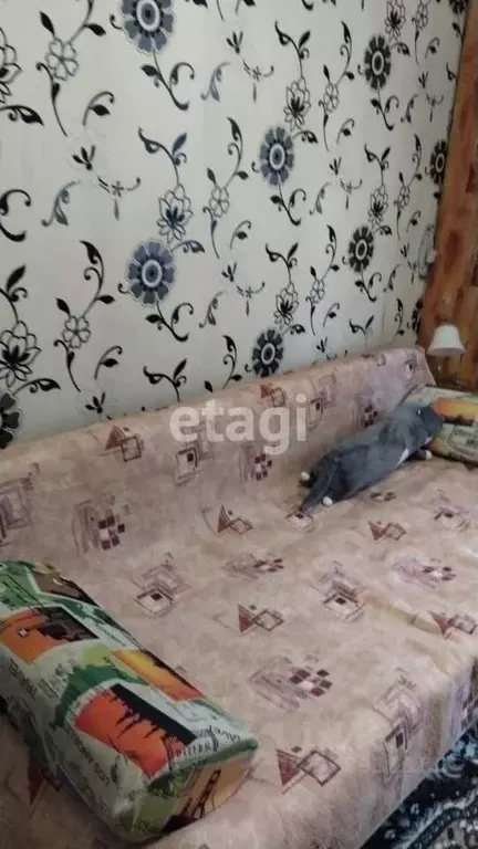 Комната Алтайский край, Белокуриха Советская ул., 12 (12.0 м) - Фото 1
