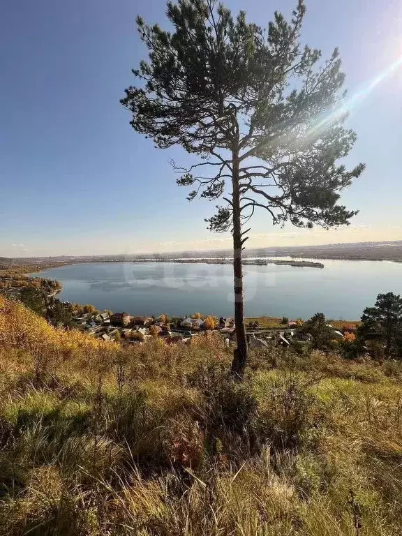 Участок в Иркутская область, Иркутский муниципальный округ, д. ... - Фото 1