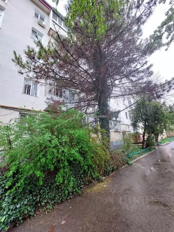 1-к кв. Крым, Симферополь ул. Гагарина, 31 (30.0 м) - Фото 1