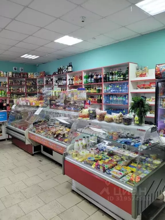 Торговая площадь в Владимирская область, Муром Стахановская ул., 27А ... - Фото 1