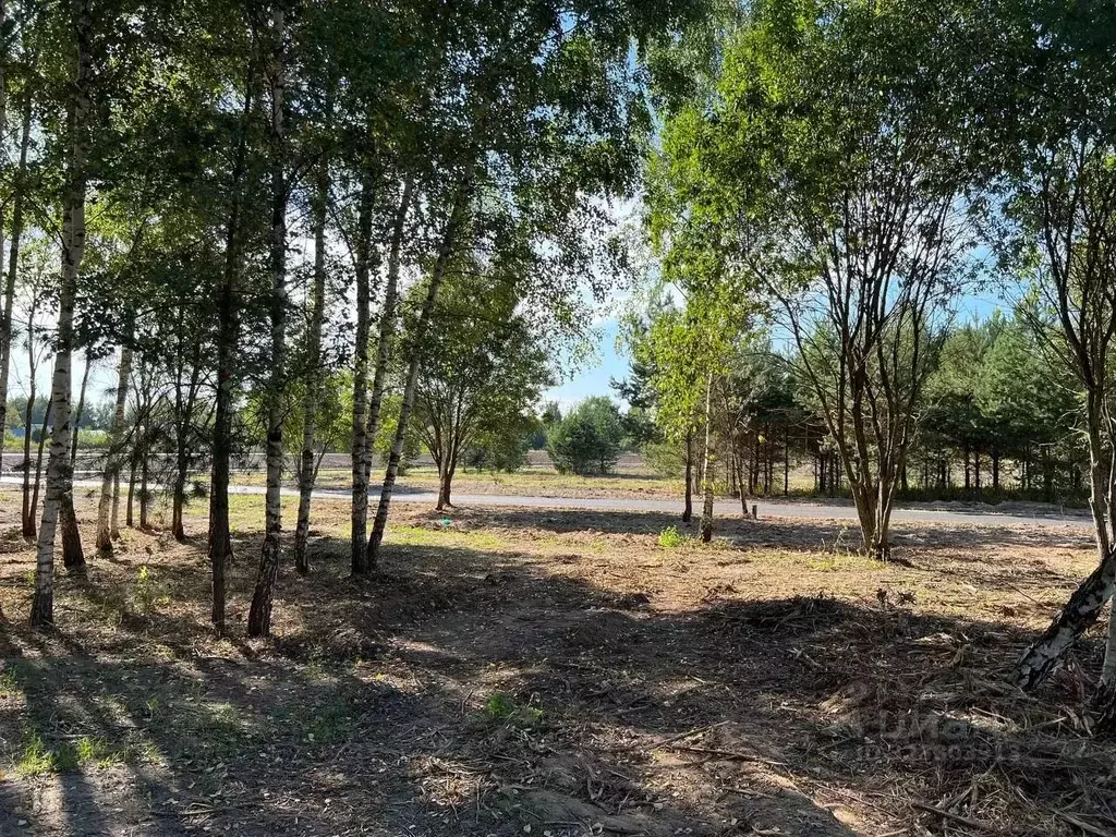 Участок в Московская область, Подольск городской округ, Пузиково кп 20 ... - Фото 2