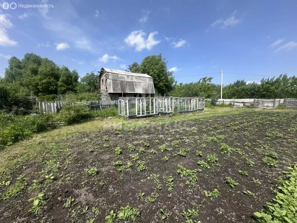 Дом в Брянская область, Карачев (20 м) - Фото 1