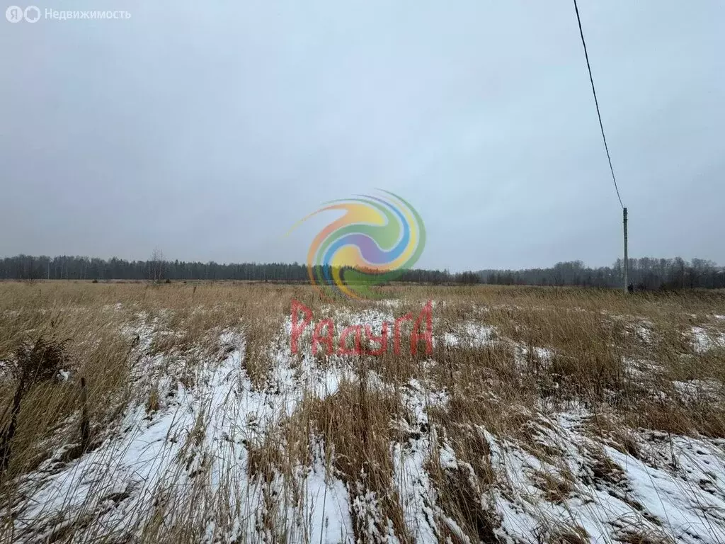 Участок в Ивановский муниципальный округ, деревня Песочнево (15.36 м) - Фото 2