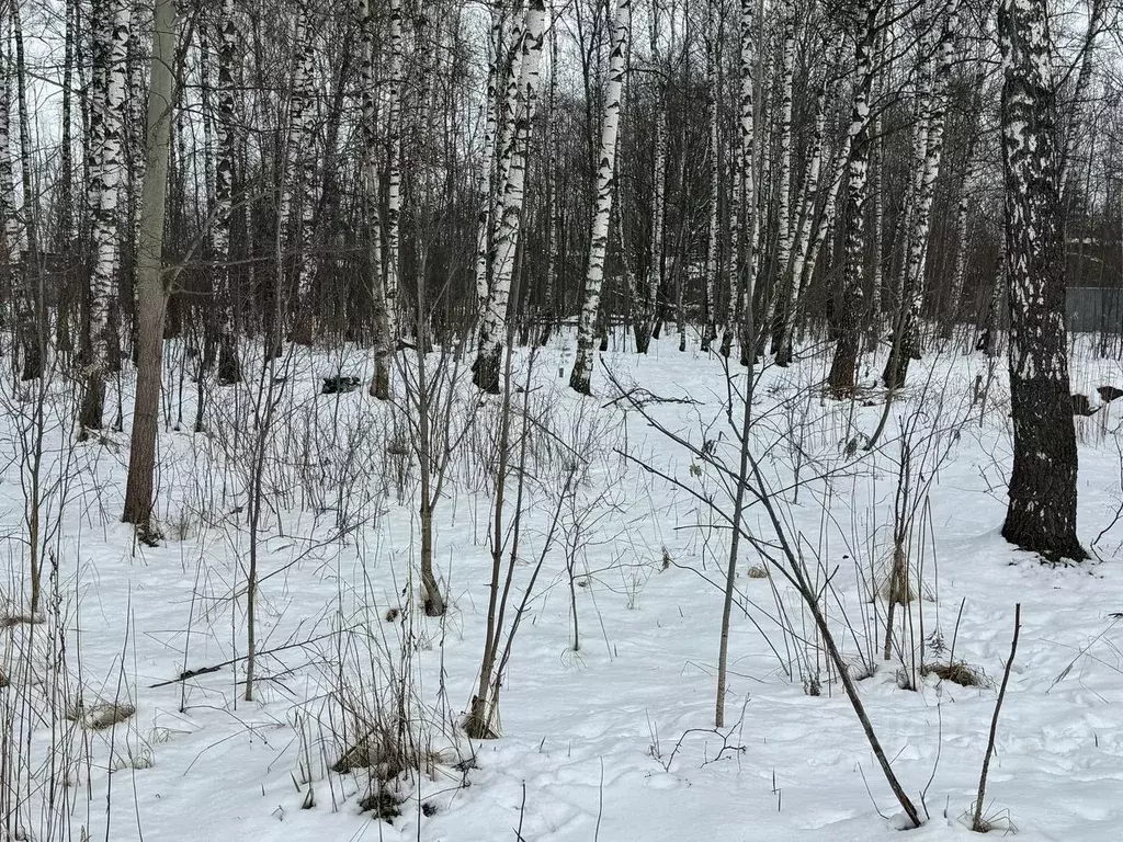 Участок в Московская область, Богородский городской округ, имени ... - Фото 1