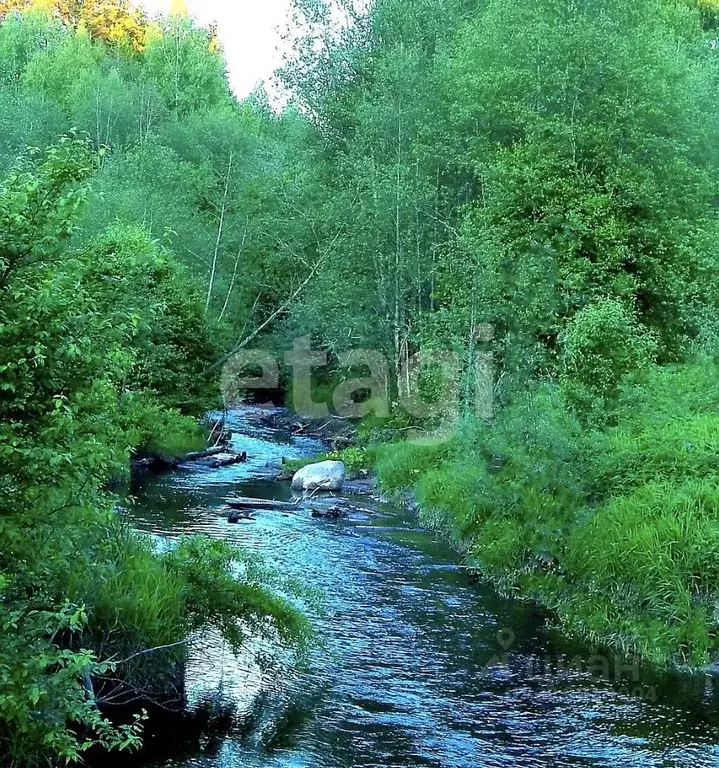 Участок в Ленинградская область, Лодейнопольский район, Янегское ... - Фото 0