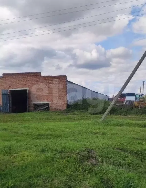 Склад в Новосибирская область, Колыванский район, Нива СНТ ул. ... - Фото 1