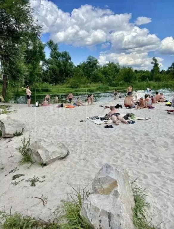 Участок в Воронежская область, Семилукский район, с. Девица ул. ... - Фото 1