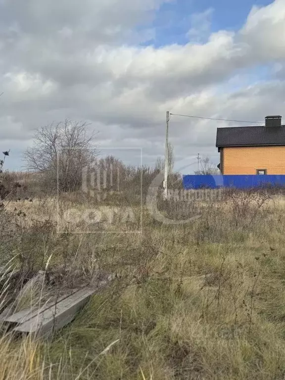 Участок в Воронежская область, Новоусманский район, пос. Отрадное ул. ... - Фото 1