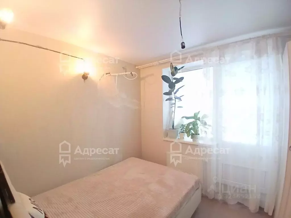 1-к кв. Волгоградская область, Волгоград ул. Гаря Хохолова, 7 (28.5 м) - Фото 1